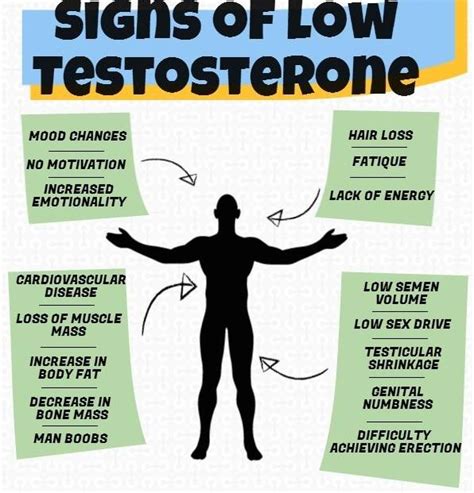 dating someone with low testosterone